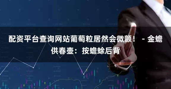配资平台查询网站葡萄粒居然会微颤！ - 金蟾供春壶：按蟾蜍后背