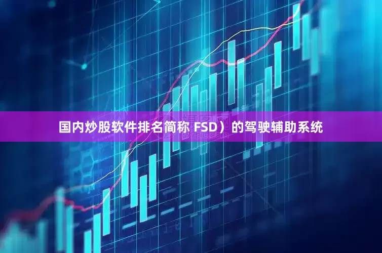国内炒股软件排名简称 FSD）的驾驶辅助系统